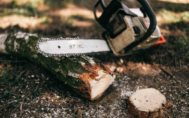 Gartenbäume schneiden